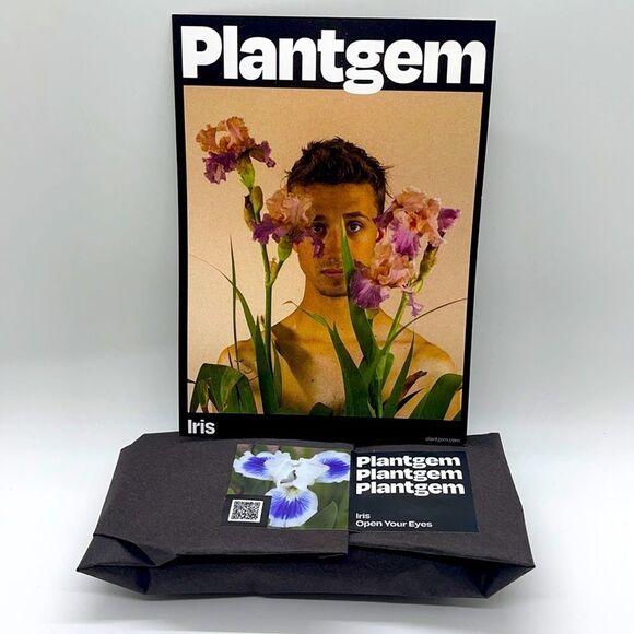 NEW & SEALED: Plantgem Iris Roots - Blue & White - Picture 4 of 6